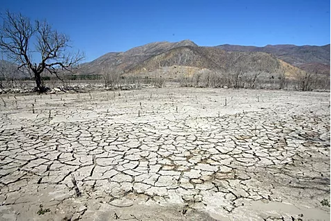 EL CHILE QUE SE OCULTA BAJO LAS CAMAS CRÍTICAS